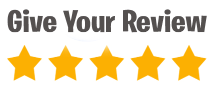 SpiderNet - Digital Marketing & POS