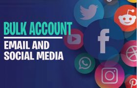 SpiderNet - Digital Marketing & POS